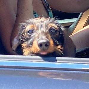 Meet your Posher, Kyla